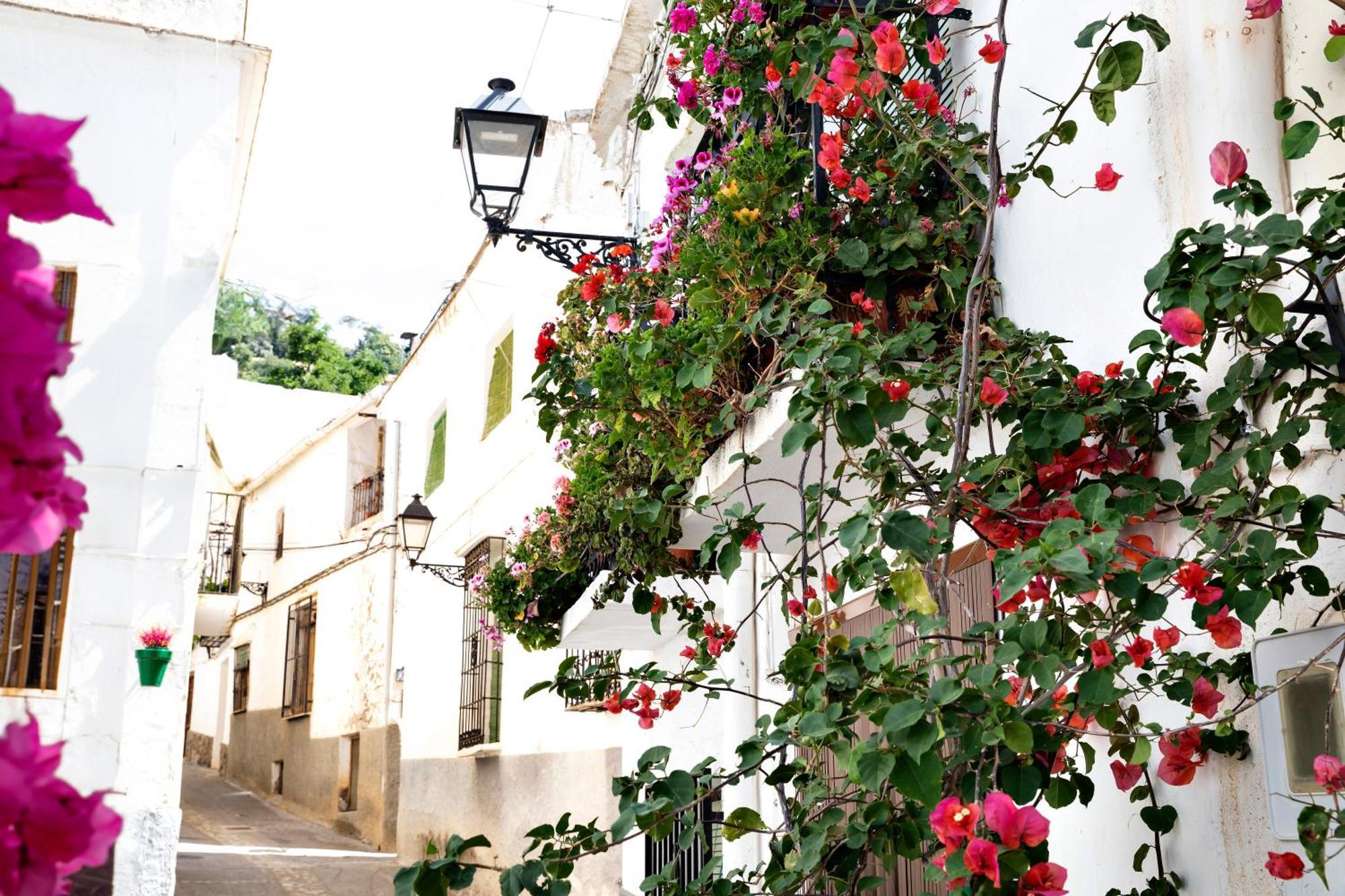 Alpujarra Relax Carataunas Exteriör bild